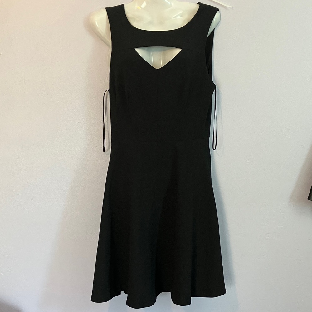 Lc Lauren Conrad black sleeveless fit and flare dress Sz 4